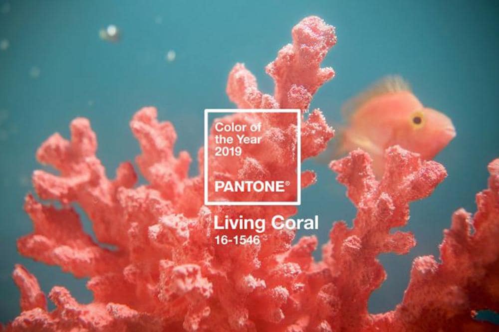 'Living Coral' is the colour of 2019